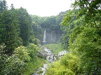 touki-tsushinhanbai-navi.jpg